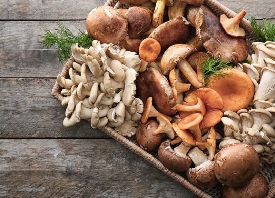 7 Health Benefits Of Mushrooms For Kids